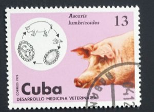 Cuba Sc# 2020 VETERINARY MEDICINE farm animals  13c pig hog  1975  used cto