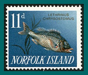 Norfolk Island 1963 Fish, 11d MNH  #54,SG44