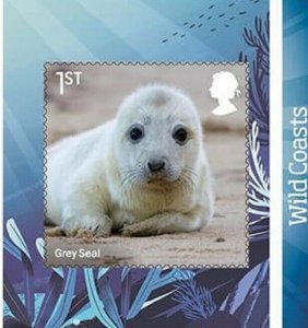 2021 GREY SEAL - WILD COASTS - SG: 4554 - S/A -  - UNMOUNTED MINT