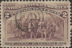 # 231 BROWN VIOLET USED LANDING OF COLUMBUS SCV-0.30