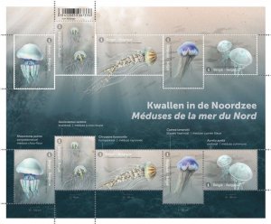 Belgium 2021 MNH Stamps Mini Sheet Jellyfish Marine Life Animals