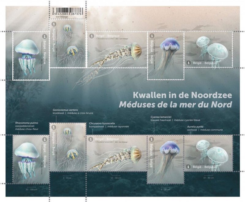 Belgium 2021 MNH Stamps Mini Sheet Jellyfish Marine Life Animals