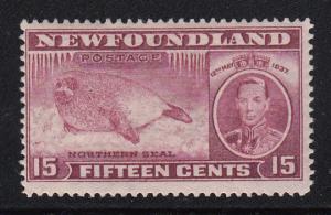 Newfoundland 1937 MH Scott #239 15c Northern seal Perf 13.7