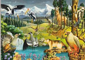 UN - ECE Post Card For a Better Environment