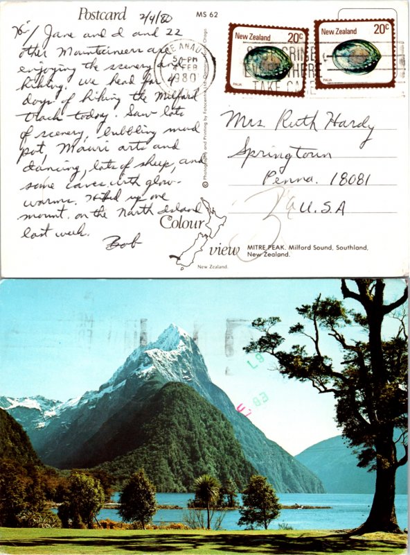 New Zealand, Picture Postcards, Seashells