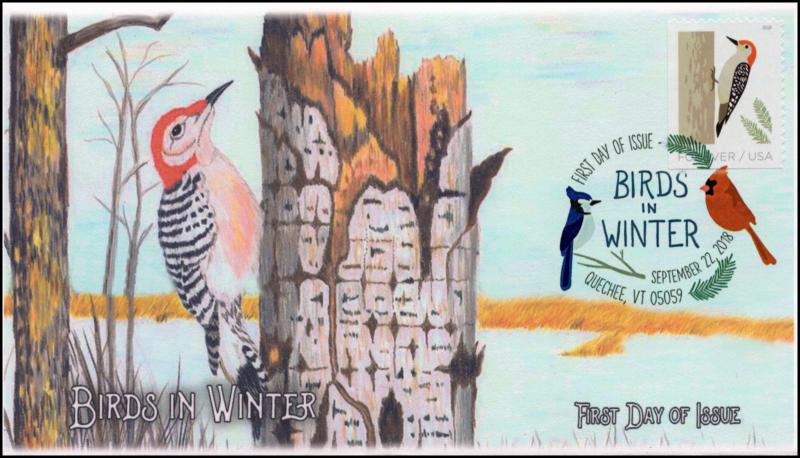 18-256, 2018, Birds in Winter, DCP Postmark, Red bellied Woodpecker, FDC