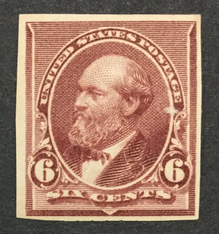 MOMEN: US #224P5 MINT OG NH #30681