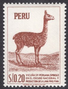 PERU SCOTT 461