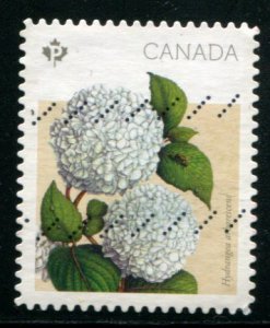 2900 Canada P Hydrangea SA, used