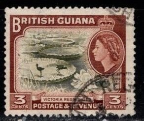 British Guiana - #255 Victoria Regia Lilies Flowers - Used