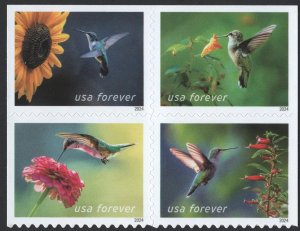 NEW ISSUE (Forever) Garden Delights Booklet Block of Four (2024) SA