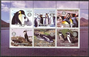 Congo 2003 Birds Penguins Sheet of 6 MNH Private