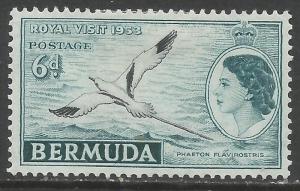 BERMUDA 152 MOG BIRTD Z3533