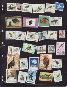 Lot of all different Birds MNH