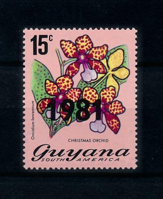 [79750] Guyana 1981 Flora Flowers Blumen Orchids with OVP 1981 MNH