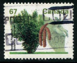 1368 Canada 67c Beaked Hazelnut, used