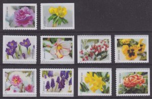 US 5727-5736 Snowy Beauty F set 10 MNH 2022