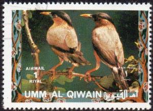 Umm al Qiwain sw1471 - Used - 1r Brahminy Starling (1972) (cv $0.30)