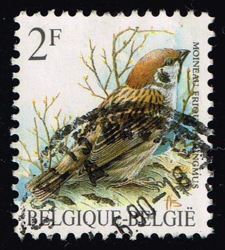 Belgium #1218 Moineau friquet Bird; Used (0.25)