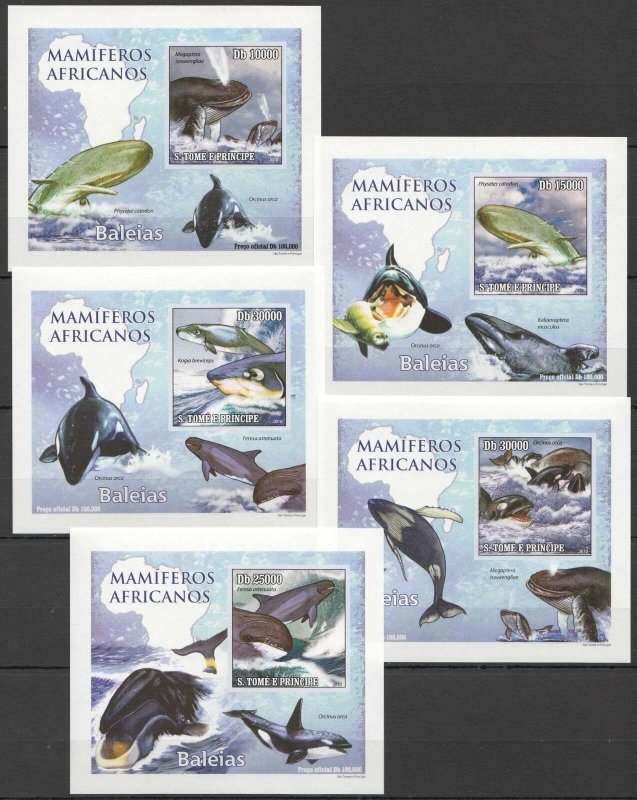 O0751 Imperf 2010 Sao Tome & Principe Marine Life Whales Baleias 5 Lux Bl Mnh