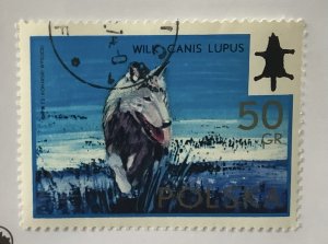 Poland  1973 Scott 1971 CTO - 50g, Hunting Committee, game, Wolf