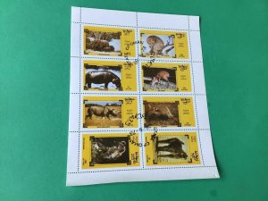 State of Oman Elephant Rhino & Animals in the wild cancelled stamps sheet  55463