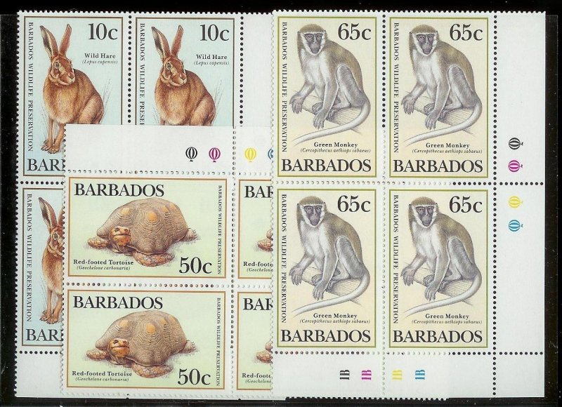 BARBADOS Large stamp accumulation Most MNH plate blocks gutter pairs Much value!