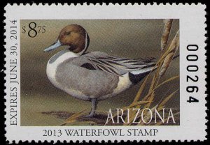 ARIZONA #31 2013 STATE DUCK STAMP NORTHERN PINTAIL by Sherrie Russell Meline