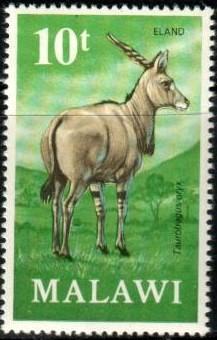 Antelope, Eland, Malawi stamp SC#153 MNH