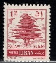 Lebanon - #342 Cedar Tree  -  Used