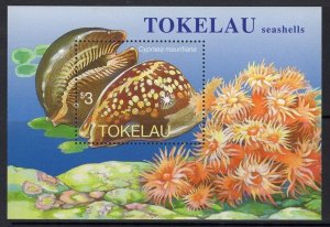 TOKELAU ISLANDS SGMS254 1996 SEA SHELLS MNH