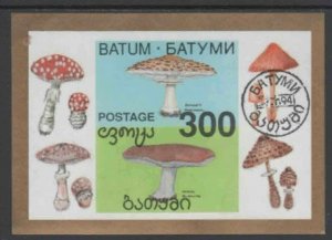 BATUM 1994 MUSHROOMS MINT VF NH O.G CTO S/S ( 10BA)