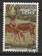 1968 Algeria - Sc 405 - used VF - single - Red deer