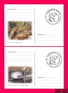 TRANSNISTRIA 2024 Europa CEPT Water Animals Amphibians Сrayfish Turtle Cards