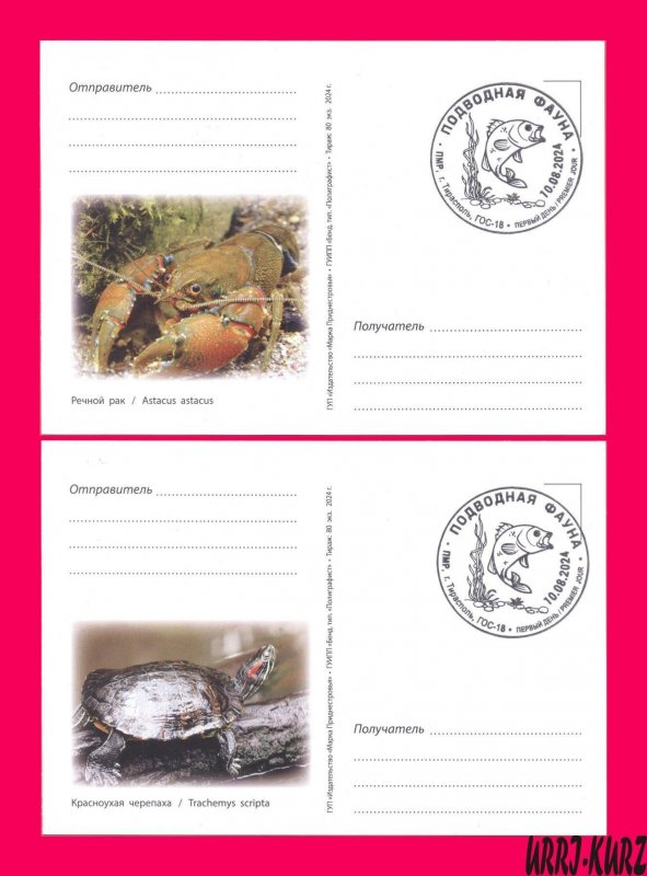 TRANSNISTRIA 2024 Europa CEPT Water Animals Amphibians Сrayfish Turtle Cards