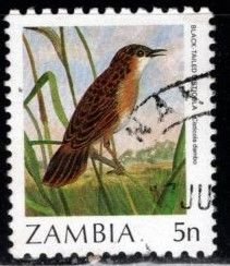 Zambia - #433 Black Tailed Cisticola - Used