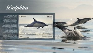 Liberia - 2020 Common Dolphins - Stamp Souvenir Sheet - LIB200522b2