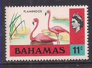 Bahamas 1971 QE2 11cents Birds SG 368 MNH ( H1037 )