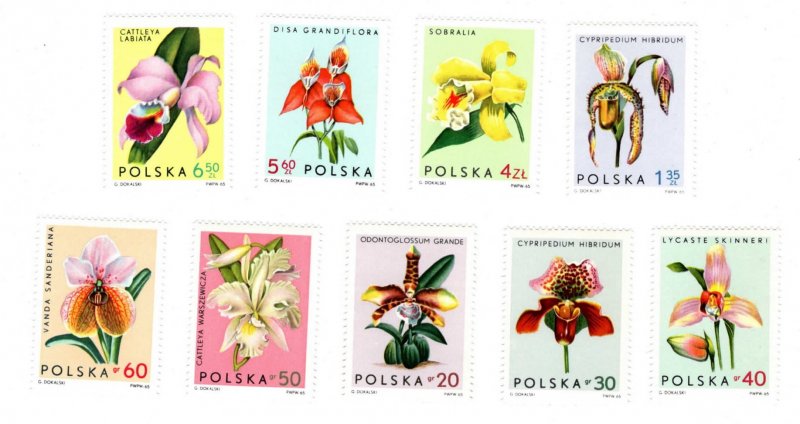 Poland 1346-1354 MNH Flowers 1965 VF