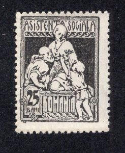 Romania 1924 25b black Postal Tax, Scott RA14 MNH, value = 25c