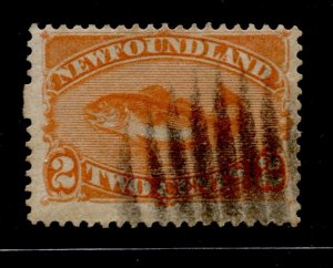 Newfoundland #48 Codfish Definitive Used CV$12.00