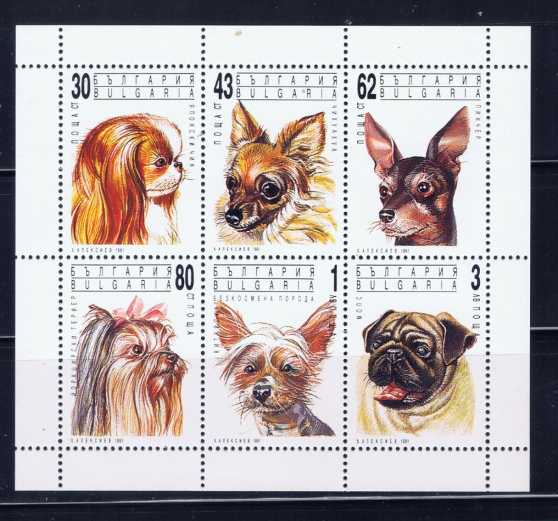 Bulgaria 3640a MNH 1991 Dogs sheet of 6