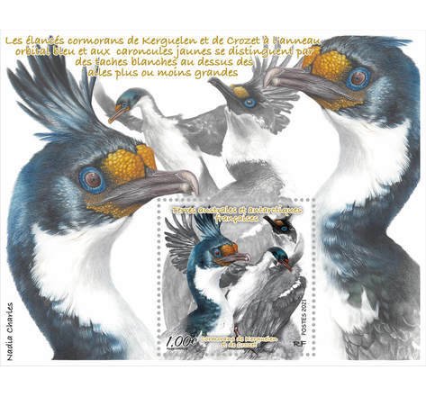 2021 FSAT Cormorants of Kerguelen & Crozet SS (Scott 651) MNH