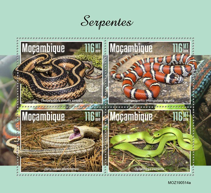 Mozambique 2019 MNH Snakes Stamps Reptiles Hognose Smooth Green Snake 4v M/S