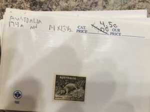 Old Australian Stamps in Stock Cards Some Mint Also Few Victoria Good Value