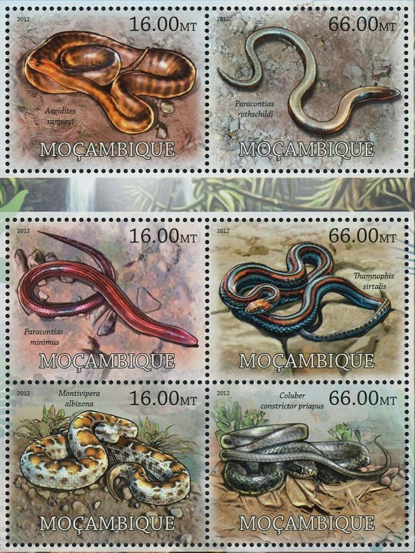 Snakes Stamp Aspidites Ramsayi Coluber Constrictor Priapus S/S MNH #5754-5765