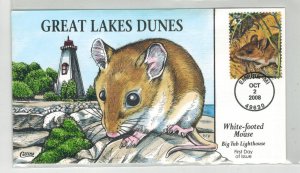 COLLINS HANDPAINTED 2008 GREAT LAKES DUNES SERIES MICHIGAN WHITE FOOTED MOUSE