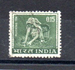 INDIA - 1965 - PLUCKING TEA - Used - 0.15 -