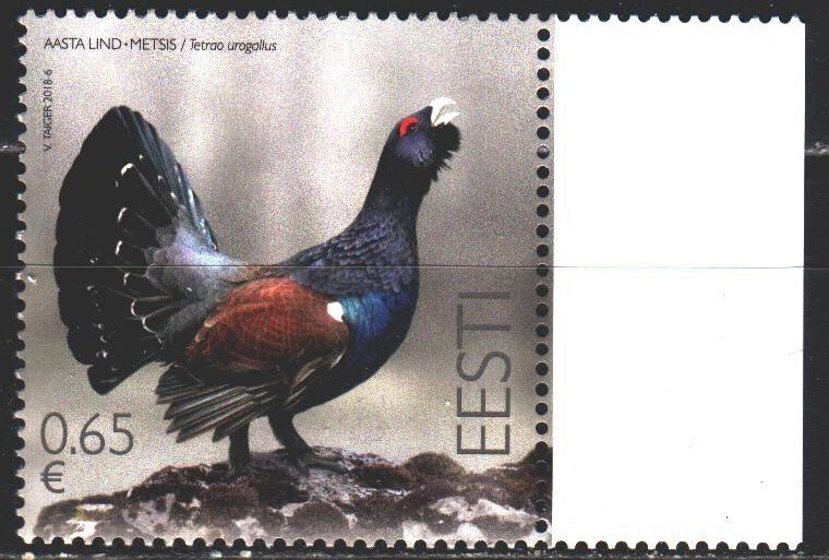 Estonia. 2018. 916. Black grouse, birds, fauna. MNH.