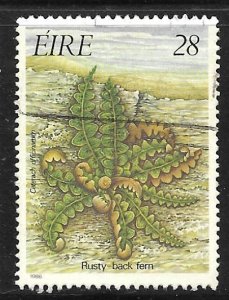 Ireland 656: 28p Rustyback (Asplenium ceterach), used, VF